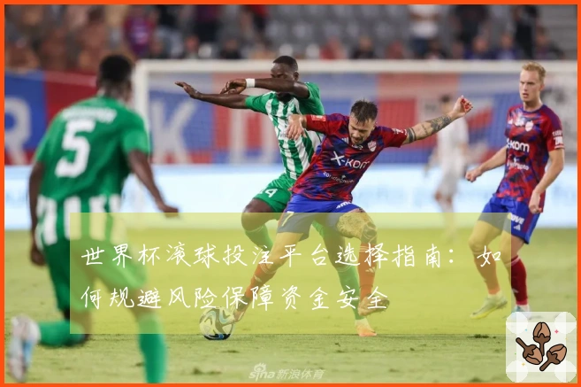 世界杯滚球投注平台选择指南：如何规避风险保障资金安全